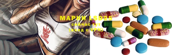 гашик Алзамай