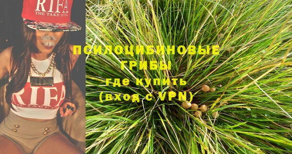 бошки Алексеевка