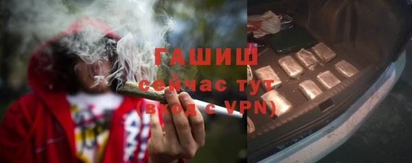 гашик Алзамай