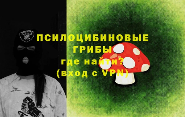гашик Алзамай