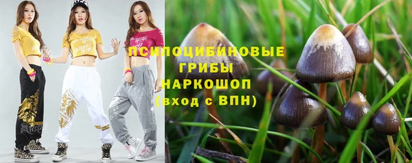 mdpv Алексин