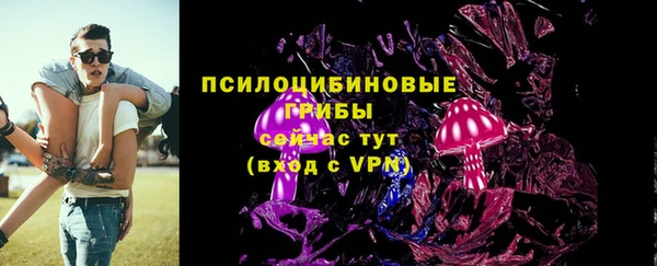 бошки Алексеевка