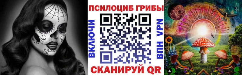 наркота  Орёл  Галлюциногенные грибы Psilocybe 